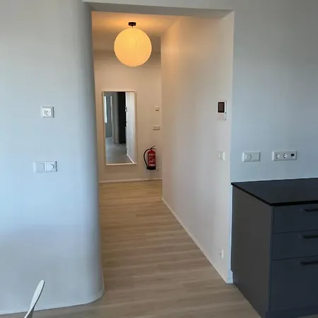 Smari * Reykjavík